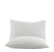 Picture of Manamo M&D Pillow Cases Cotton Ecru 50x70(2pc) cm 