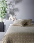 Picture of Manamo Valencia Bedspread Set Mink 240x250   