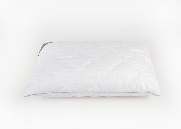 Picture of Manamo Aloe Vera Pillow 50x70